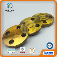 ANSI DIN Carbon Steel Blind Forged Pipe Fittings Flange (KT0397)